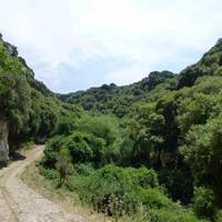 Pilchina di li Caaddaggi