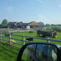 Red Lion Farm