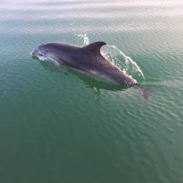Gippsland Lakes