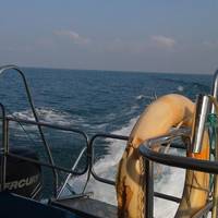 Kalpitiya Discovery Diving