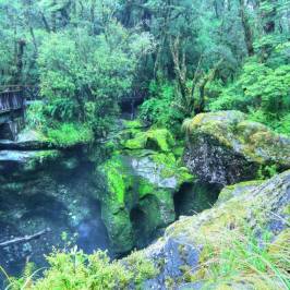 The Chasm Walk