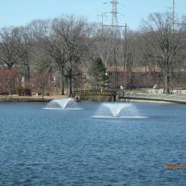 Roosevelt Park
