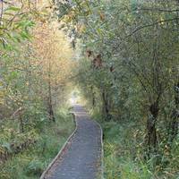 Lattersey Local Nature Reserve