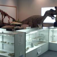 Middle tennessee museum of natural history