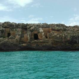 Pomar - Boat Rentals