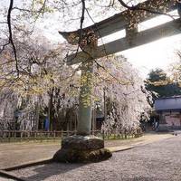Asuwa Shrine