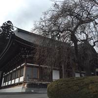 Seisuiji Temple Kannondo