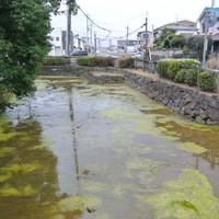 Restored Moat of Kasuga Shrine - Rear