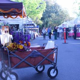 Chico Certified Farmer's Market