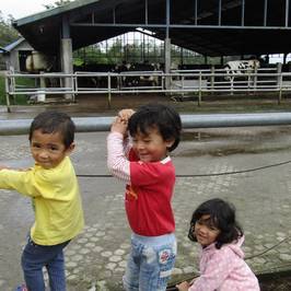 Gundaling Farm Berastagi
