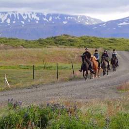 America 2 Iceland - Day Trips
