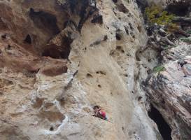 Krabi Rock Climbing