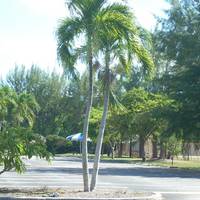 Chapman Field Park