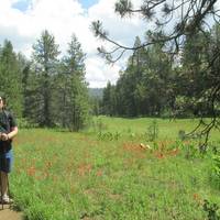 McGurk Meadow