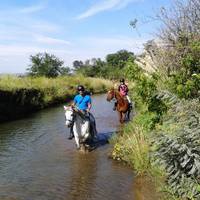 Klipriviersberg Nature Reserve Horse Trails