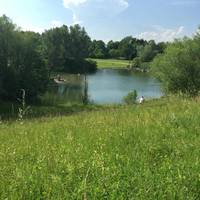 Irchel Park