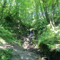 Fairy Glen