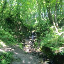 Fairy Glen