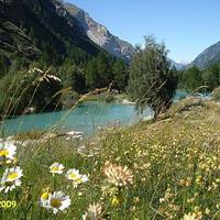 Schalisee Waterski