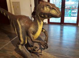 Dino Parc