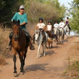 Peripetia - Horse Riding Center