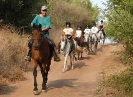 Peripetia - Horse Riding Center