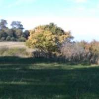 Little Wittenham Nature Reserve