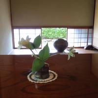 Ishoan