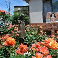 Anne's Rose Church