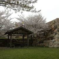 Sekimidai Park (Ruins of Kushizaki Castle)
