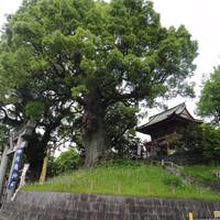 Kitaoka Shrine