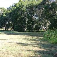 Doggie Days Dog Park