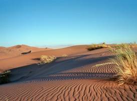 Namib Offroad Excursions