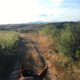 RidingTuscany