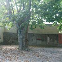 Giardino dei Platani