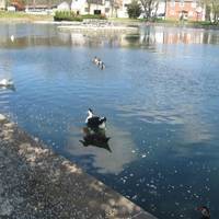 Fountain City Park