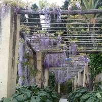 I Giardini di Villa La Pergola