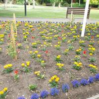 Manor Park Gardens