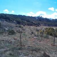 Sendero Verde