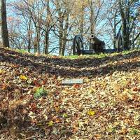 Fort Dickerson Park