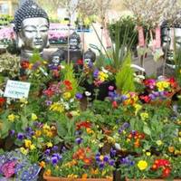 Trowell Garden Centre