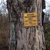 Forks of the River Wildlife Management Area