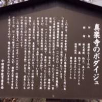 Shinrakuji Temple
