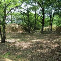 Niizawa Senzuka Tombs