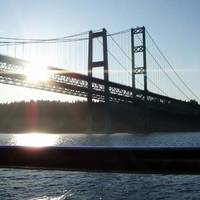 Tacoma Narrows Bridge