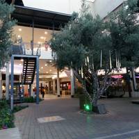 The Grove Mall