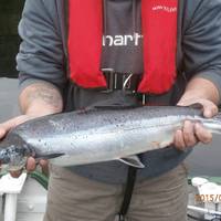 Fish Loch Ness