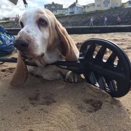 Summerleaze Beach