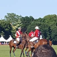 Newport Polo