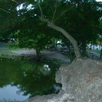 Perrine Wayside Park